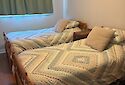 A Beach Cottage photo